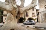 Mercedes-Benz B200 d Progressive Night Package 2019 года (WW)